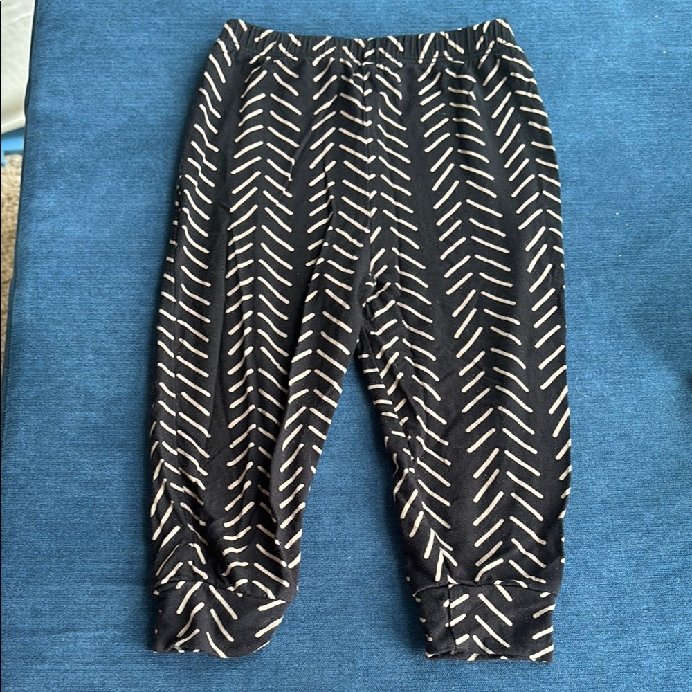 Kyte BABY Joggers 12-18m